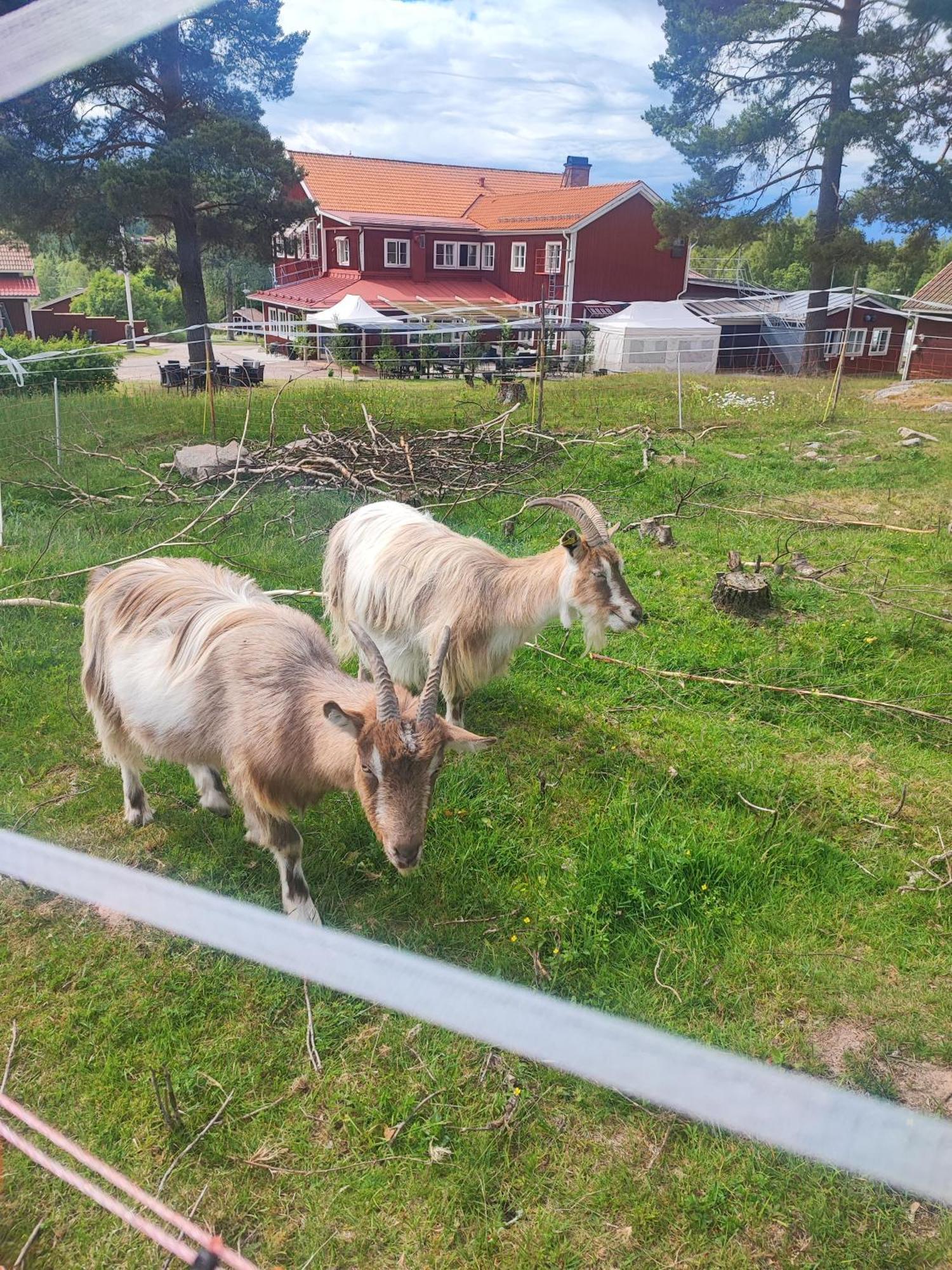 Sjugare Gard Bed & Breakfast Leksand Buitenkant foto