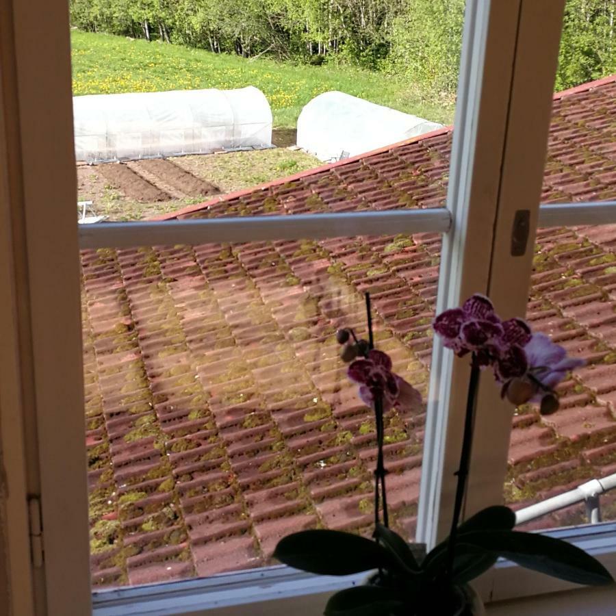 Sjugare Gard Bed & Breakfast Leksand Buitenkant foto